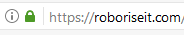 ssl secured connection to roboriseit.com